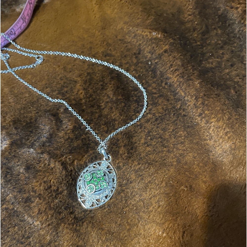 Green and Silver Colored Necklace